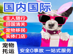 扎兰屯成吉思汗空运国际宠物托运 【国